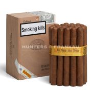 Le Hoyo Des Dieux - Pack of 25